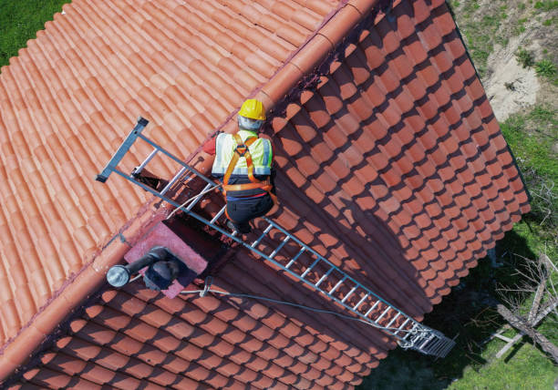 Best Roof Replacement  in Carroll, IA