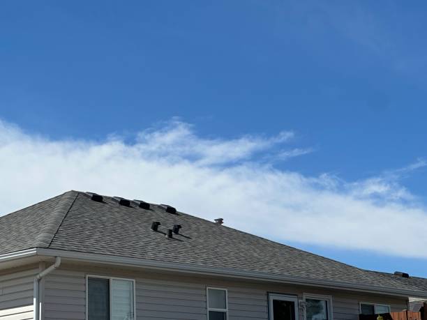 Best Storm Damage Roof Repair  in Carroll, IA